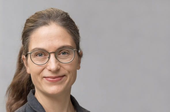 Das Ähnliche im Entfernten erkennen